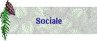 Sociale